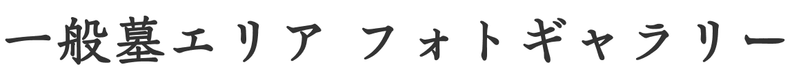 一般墓エリア フォトギャラリー