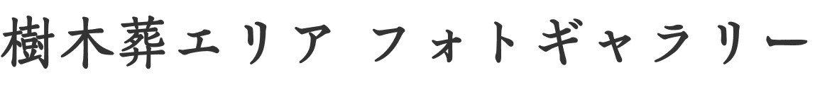 樹木葬エリア フォトギャラリー