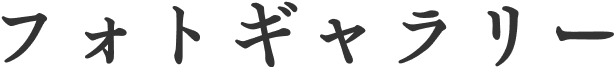 フォトギャラリー