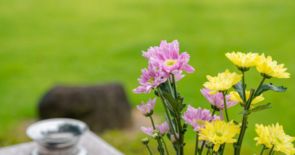 墓じまいの費用相場はいくら？総額・内訳や払えない場合の対処法を解説