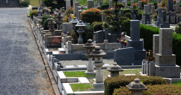 樹木葬と永代供養の違い｜基本知識と向いている人・選び方のポイントも解説